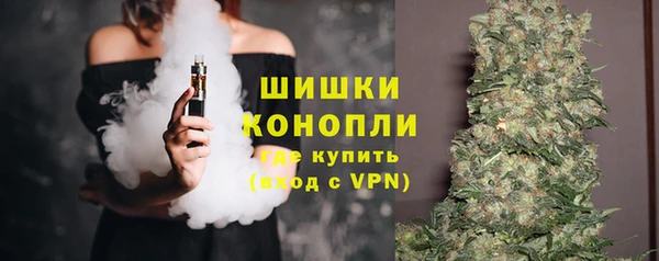 стаф Кулебаки
