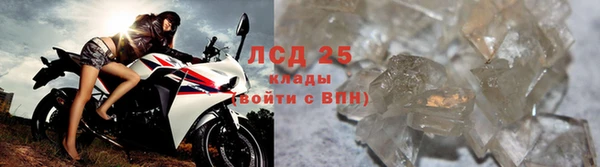спиды Кукмор