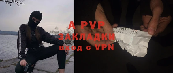 стаф Кулебаки