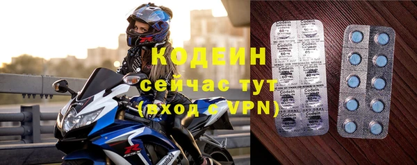 стаф Кулебаки