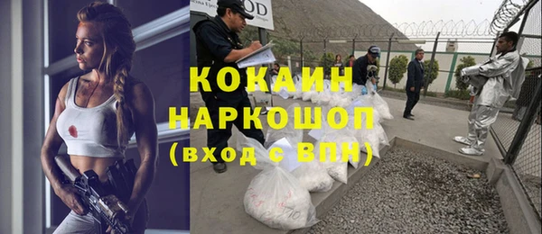 стаф Кулебаки