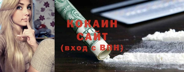 стаф Кулебаки